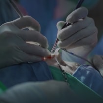 Live Surgeries